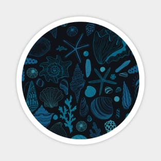 Sea shells on dark blue Magnet